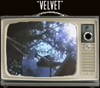 Guarda il video!